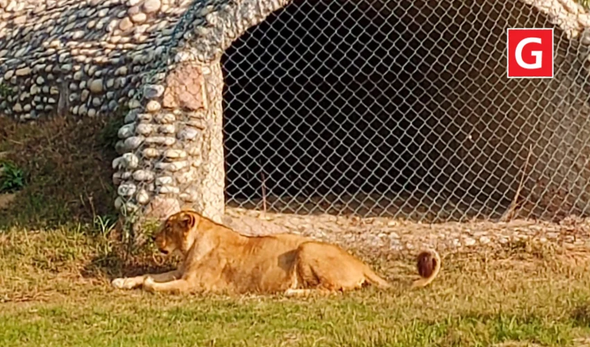 Gorakhpur zoo