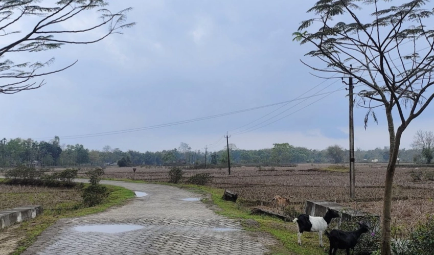 Gorakhpur weather forecast rain