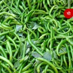खिलाड़ियों को नवरात्र में मिलेगा मिनी स्पोर्ट्स कांप्लेक्स का तोहफ़ा