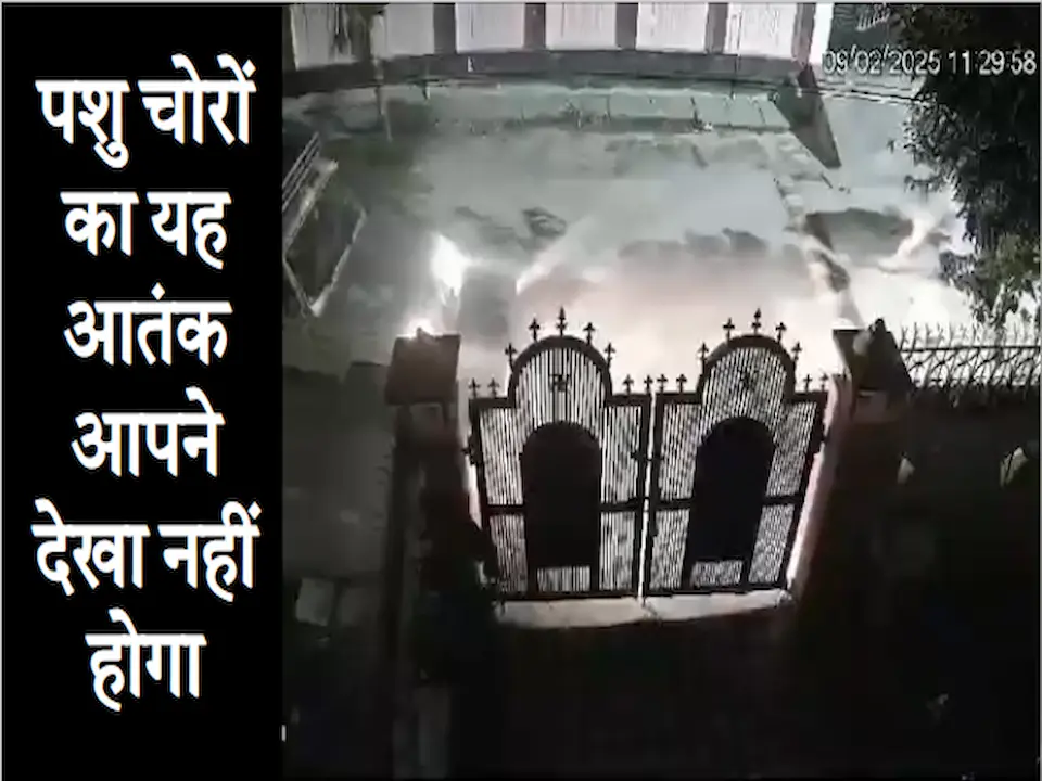 गोरखपुर शहर की इंद्रप्रस्थपुरम कॉलोनी में रविवार रात पशु चोरों की तस्वीर जो सीसीटीवी कैमरे में कैद हुई.