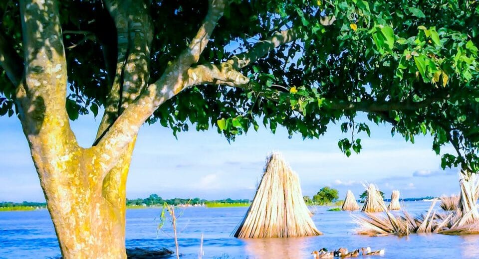 nadi ke kinare adaar