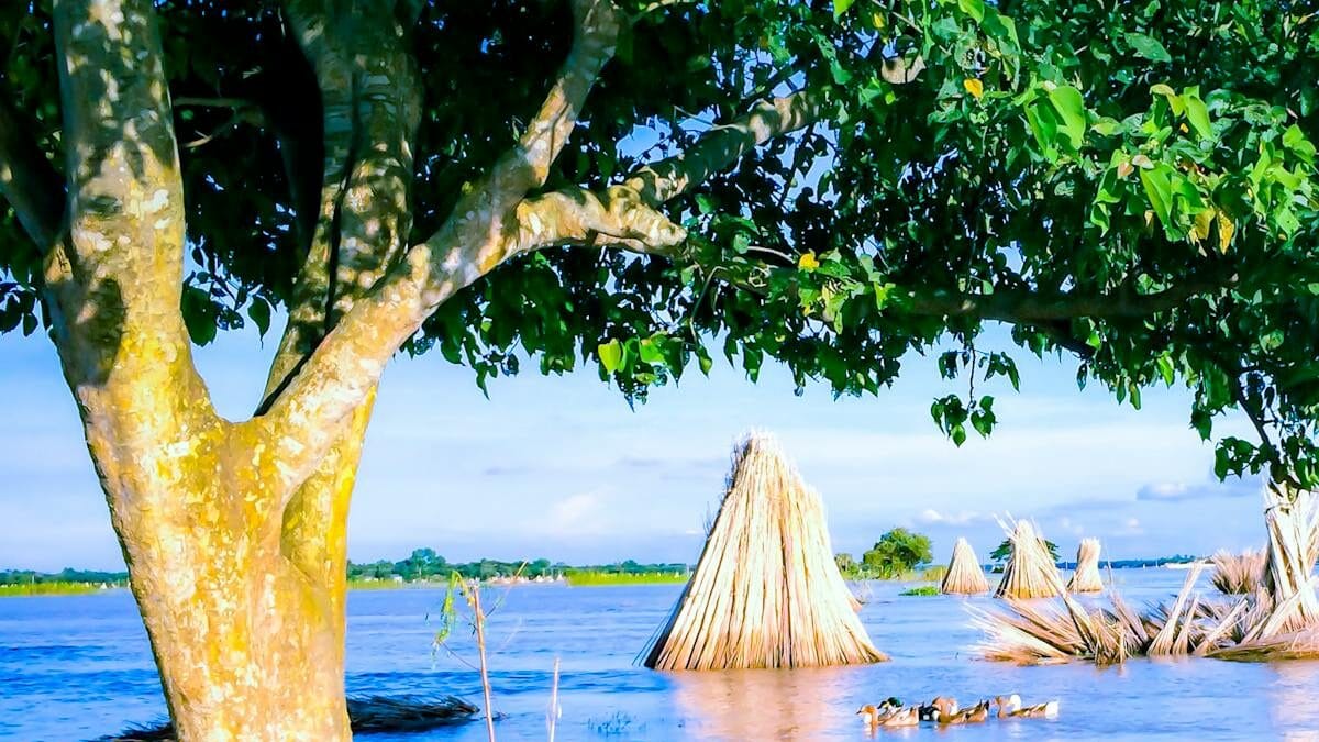 nadi ke kinare adaar