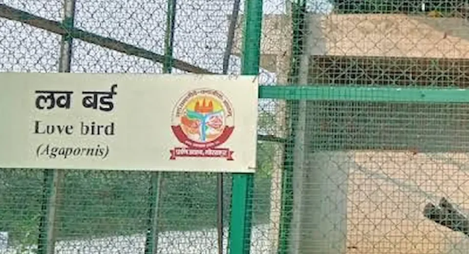 गोरखपुर चिड़ियाघर