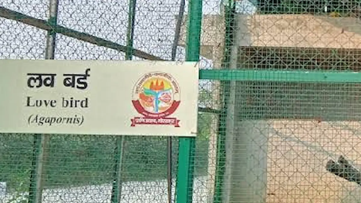 गोरखपुर चिड़ियाघर