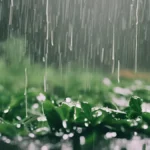 कला का धमाल! 125 से अधिक बच्चों ने सीखी लोककला पेंटिंग की बारीकियां