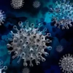 Job Alert: झारखंड SSC, बिहार PSC, DRDO और अन्य में निकली बंपर भर्तियां, तुरंत करें आवेदन