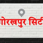 स्कूलों में अब ऑनलाइन हाजिरी लगेगी, जुलाई से लागू होगी नई व्यवस्था
