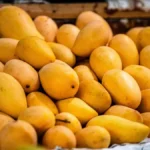 चलती ग्वालियर-बरौनी एक्सप्रेस से गिरकर युवक की मौत, झगड़े के बाद यूं हुआ हादसा