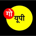FSSAI का बड़ा खुलासा, हर 10 में से 1 फ़ूड प्रोडक्ट मिलावटी! ऐसे करें शिकायत और तुरंत मिलेगा न्याय