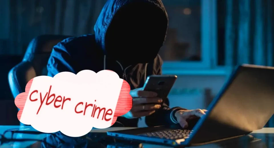 cyber crime