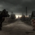 स्वच्छ और स्मार्ट गोरखपुर की ओर एक कदम, नगर निगम ने सोलर पैनल लगाने पर दी 15% टैक्स छूट