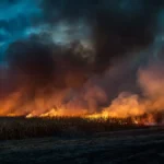 कामिनी कौशल के निधन से बॉलीवुड में शोक की लहर! 98 की उम्र में ली अंतिम सांस