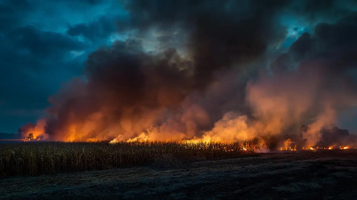 पराली जलाने पर कार्रवाई तेज, पिपराइच में सेटेलाइट से पकड़े गए पांच किसान, महराजगंज में 7 गिरफ्तार