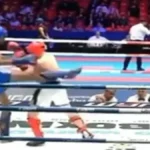 गोरखपुर समाचार: आज की प्रमुख सुर्खियां: एक नजर में जानें गोरखपुर शहर की हर खबर