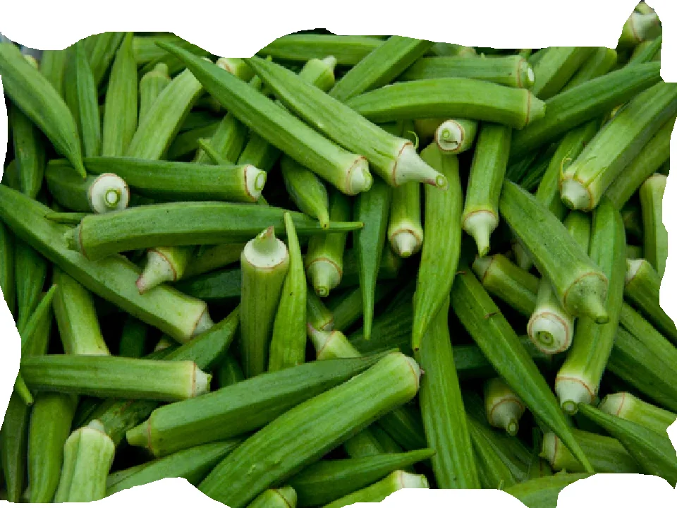 भिंडी की सब्जी जरूर खाएं, स्वस्थ रहें